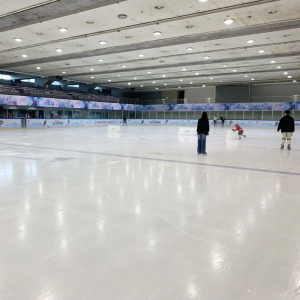 ألواح التزلج الاصطناعية