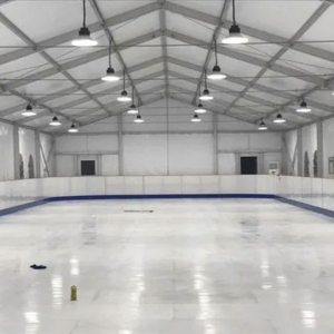 لوحات هوكي داشر